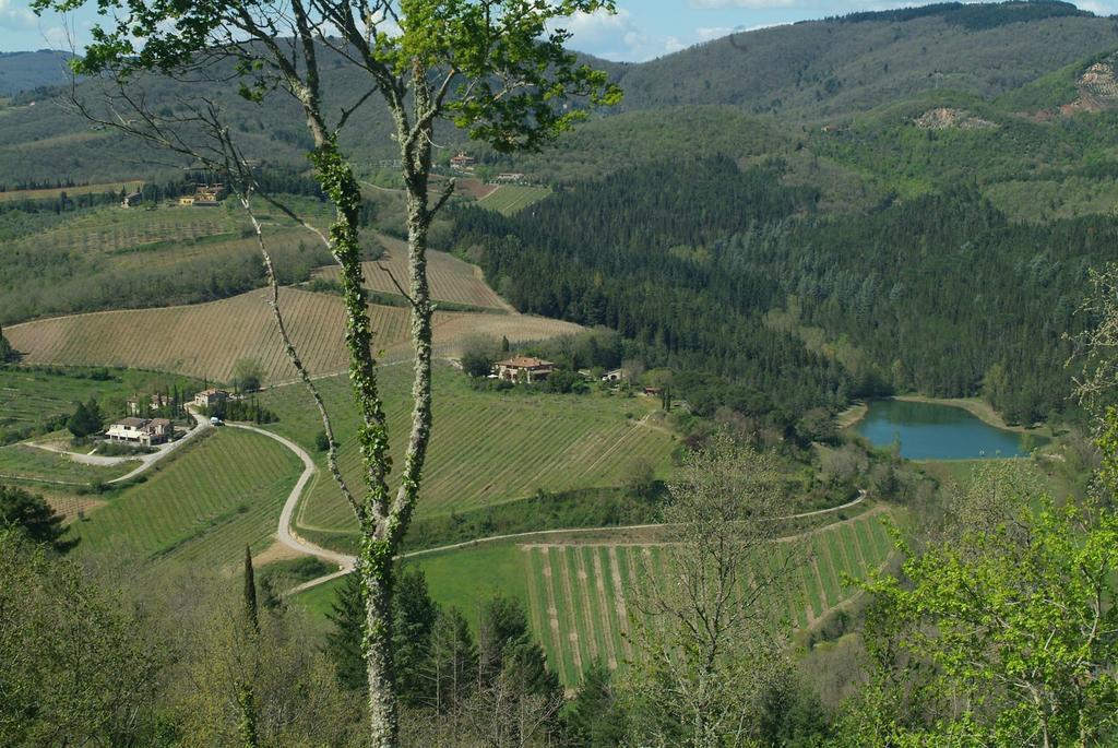 Agriturismo Vinci Gaiole in Chianti Buitenkant foto